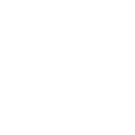 FM ICONS-01
