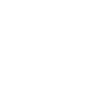 FM ICONS-02