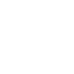 FM ICONS-04