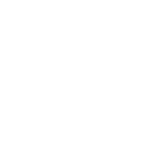 FM ICONS-05