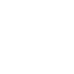 FM ICONS-06
