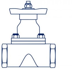 fmd-diaphragm-valve-dwn