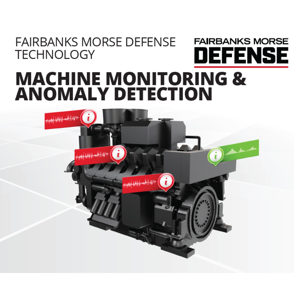 FMT Anomaly Detection (300 x 300 px)