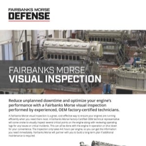 fmd-visual-inspection-thumbnail-1